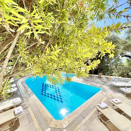 Aphrodite Club With Private Pool ニサキオン